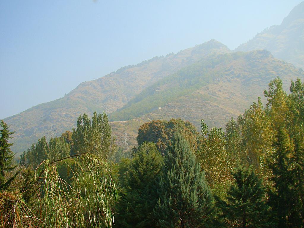 Hillscape Inn Srīnagar Kamer foto